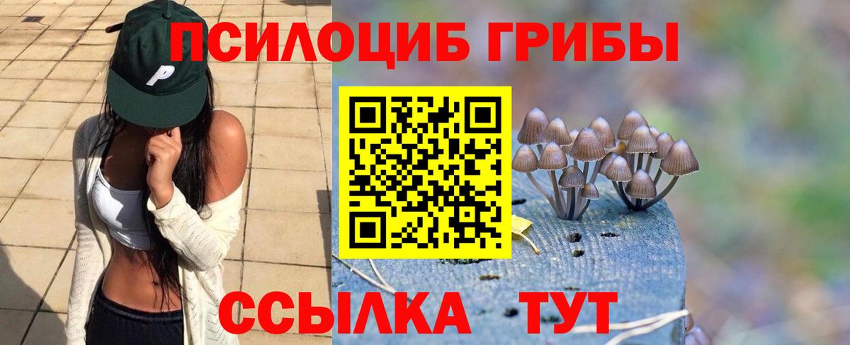 Псилоцибиновые грибы Psilocybine cubensis  Галлюциногенные грибы Psilocybine cubensis  Златоуст  Вход с VPN 